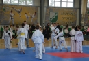 Starptautiskās taekvondo sacensības Mārupē, 25.04.2015.
