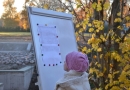 Rudens kross Mārupē – sezonas noslēguma posms 29.10.2015.