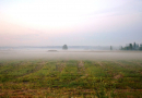 Līgo svētki Mārupē 23.06.2016.