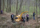 Lielā Talka Mārupē, 25.04.2015.