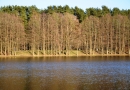 Pavasara krosa “Skrējiens apkārt Pavasara dīķim” 1.posms 12.04.2016.