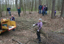 Lielā Talka Mārupē, 25.04.2015.