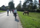 Mārupes un Ķekavas novadu sadraudzības velobrauciens, 21.09.2014.