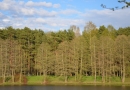 Pavasara kross “Skrējiens apkārt Pavasara dīķim” 4.posms 03.05.2016.