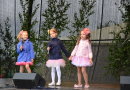 Bērnu un jauniešu svētki, 01.06.2014.