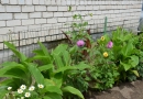 Konkursa “Mārupes novada daiļdārzs 2015″ skaistākie dārzi