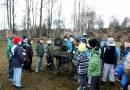 Mārupes novada Brīvības cīnītāju piemiņas kauss basketbolā 14.11.2015.