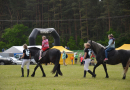 Bērnu un jauniešu svētki “Ar vasaru saujā”, 31.05.2015.