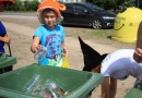 Mārupes novada bērnu un jauniešu svētki “Ar vasaru saujā”, 29.05.2016.