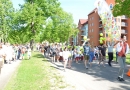 Bērnu un jauniešu svētki “Ar vasaru saujā” 2017