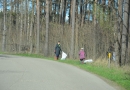 Lielā talka Mārupē, 23.04.2016.