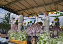 Bērnu un jauniešu svētki “Ar vasaru saujā”, 31.05.2015.