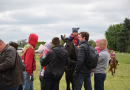 Bērnu un jauniešu svētki, 01.06.2014.