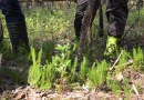 Piedzīvojumu ekspedīcija “Atklāj Medema purvu!” 04.05.2016.