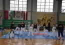 Starptautiskās taekvondo sacensības Mārupē, 25.04.2015.