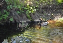 Latvijas goda aplis