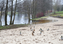 Tematiska Latvijas Brīvības cīņu notikumu atceres orientēšanās spēle "Skrējiens uz brīvību"