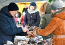 Mārupes novada Ziemassvētku tirdziņš un Svētku egles iedegšana, 01.12.2019.