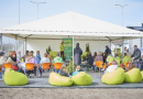 Zaļais festivāls izglīto par videi draudzīga dzīvesveida īstenošanu (29., 30.04.2022.)
