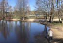Jaunmārupes dabas parks. Dīķu tīrīšana