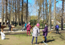 Talka Mārupes Valsts ģimnāzijā 