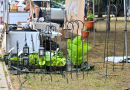 Jāņu ielīgošana Piņķos | 17.06.2023.