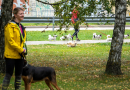 Ģimeņu foto ORIENTĒŠANĀS Piņķos | 23.09.2023.
