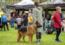 Ģimeņu foto ORIENTĒŠANĀS Piņķos | 23.09.2023.
