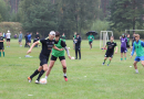 Skultes sporta diena