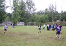 Skultes sporta diena