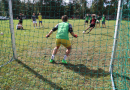 Skultes sporta diena