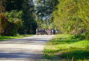 Bildē redzams Aktīvās tūrisma sezonas noslēguma velo brauciens Mārupes novadā
