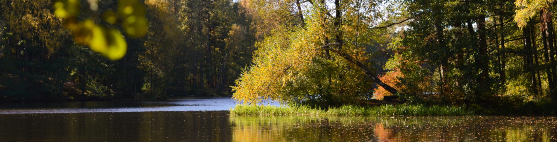rudens