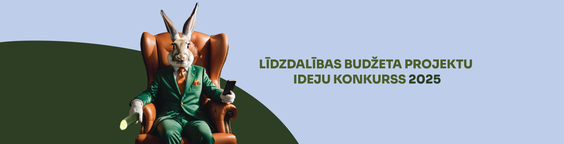 Līdzdalības budžeta vizuālis
