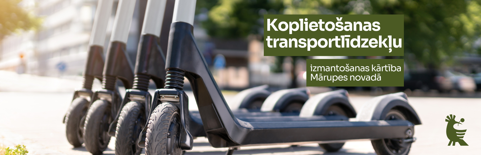 bilde koplietošanas skrejriteņi
