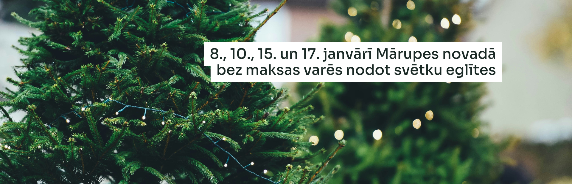 Eglītes ar lampiņām un baltu teksta grafiku