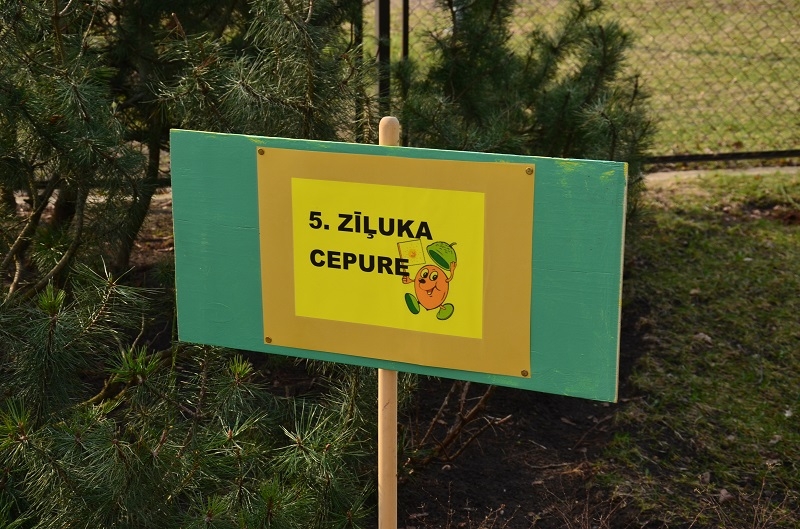 Pirmsskolas izglītības iestāžu bērnu sporta svētki “Zīļuks ceļo”, 26.03.2014.