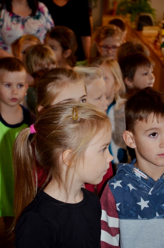 Mārupes PII “Zeltrīti” Ekoskolu Rīcības dienu ietvaros viesojas Domē 06.11.2015.