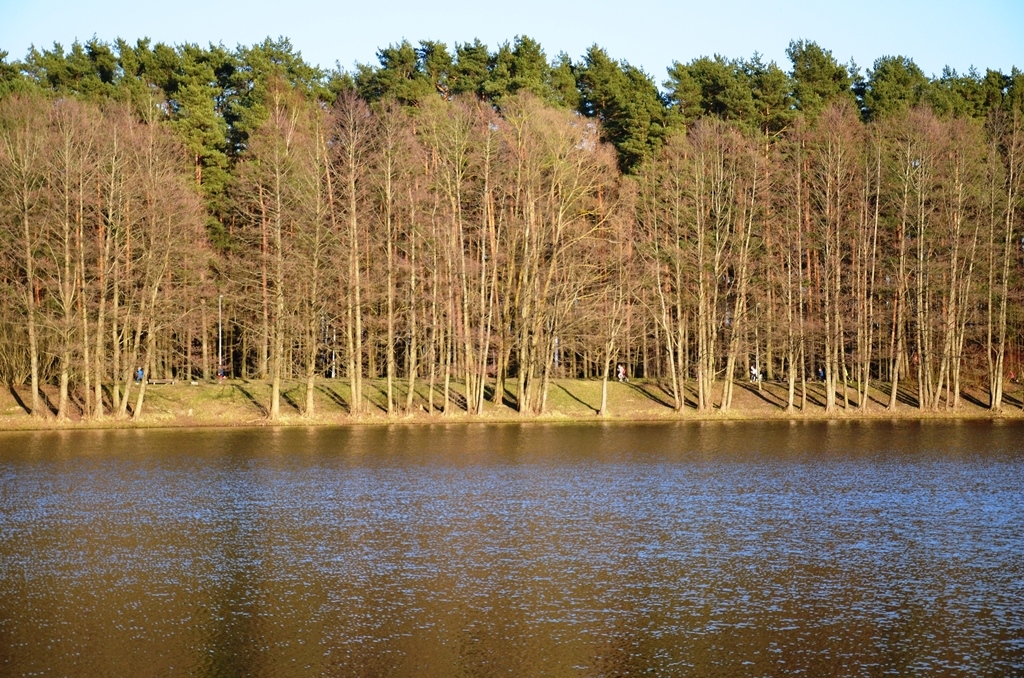 Pavasara krosa “Skrējiens apkārt Pavasara dīķim” 1.posms 12.04.2016.