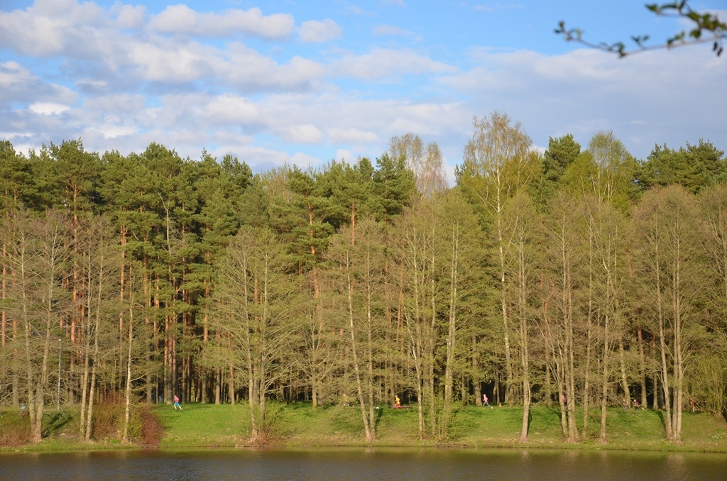 Pavasara kross “Skrējiens apkārt Pavasara dīķim” 4.posms 03.05.2016.