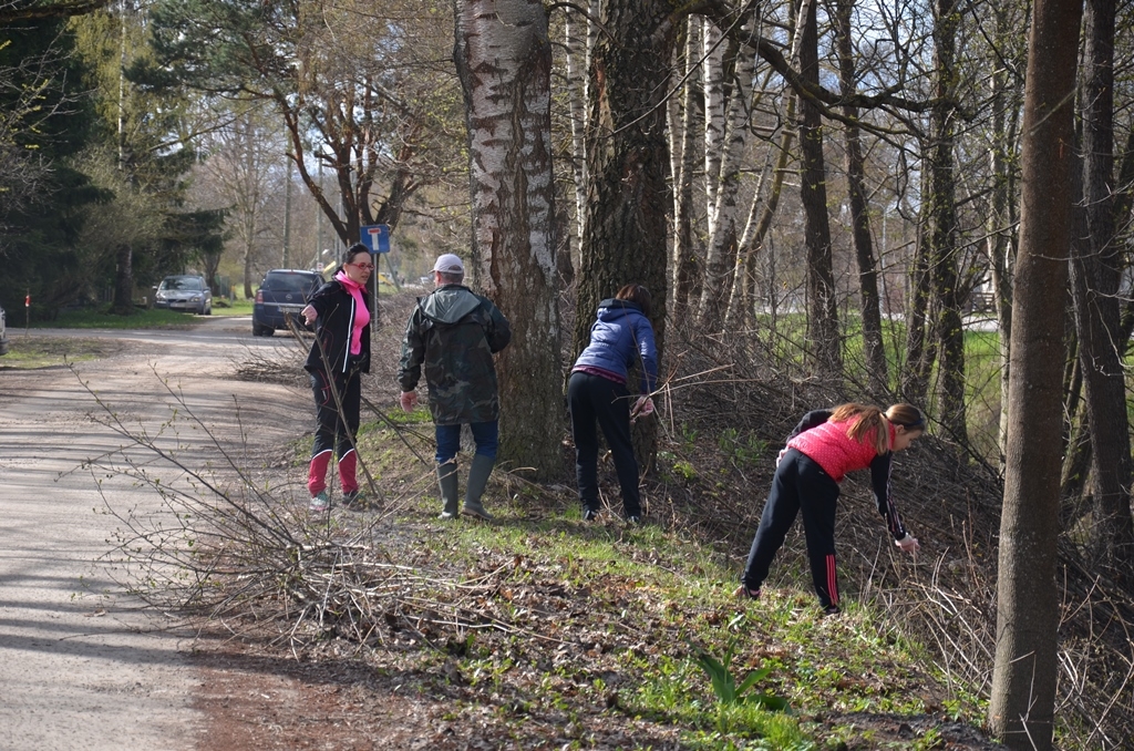 Lielā talka Mārupē, 23.04.2016.