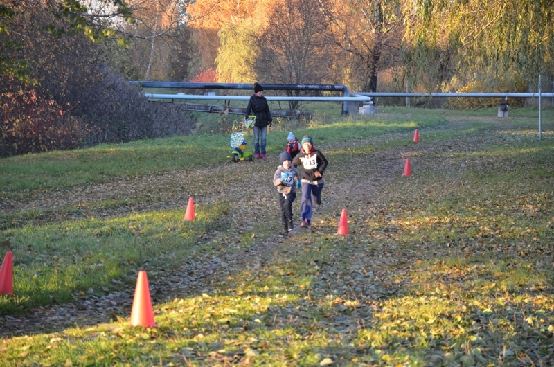 Rudens kross Mārupē – sezonas noslēguma posms 29.10.2015.