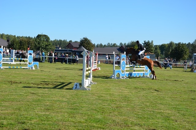 Jāšanas sacensības “Baltic Hope Cup 2013″, 07.09.2013.