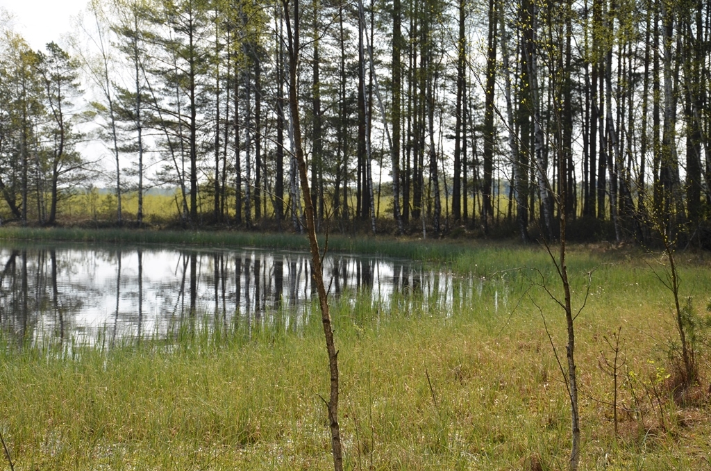 Piedzīvojumu ekspedīcija “Atklāj Medema purvu!” 04.05.2016.