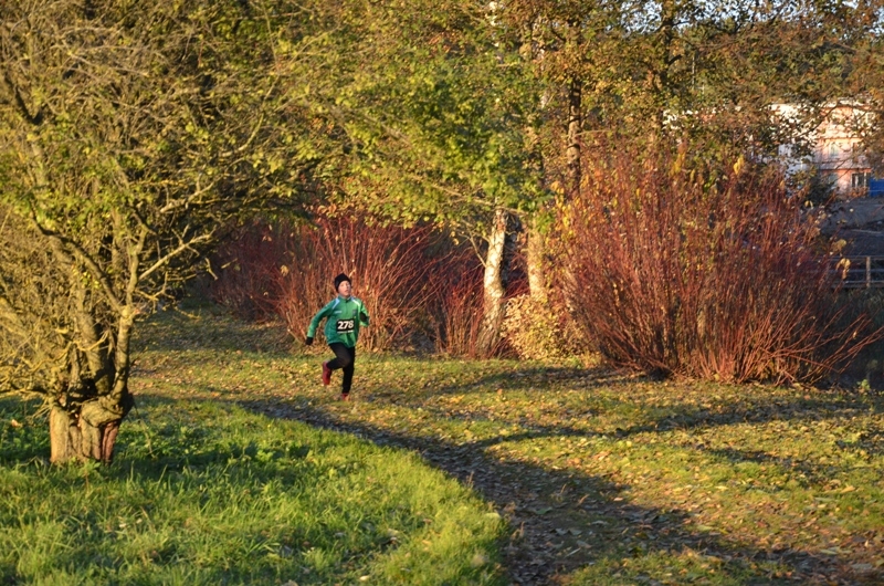 Rudens kross Mārupē – sezonas noslēguma posms 29.10.2015.