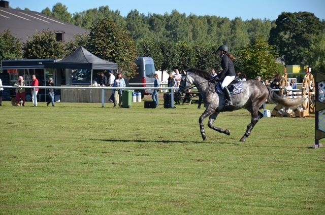 Jāšanas sacensības “Baltic Hope Cup 2013″, 07.09.2013.