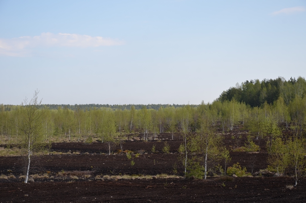 Piedzīvojumu ekspedīcija “Atklāj Medema purvu!” 04.05.2016.