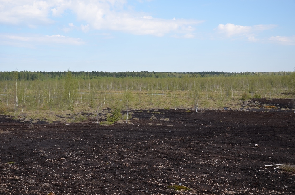 Piedzīvojumu ekspedīcija “Atklāj Medema purvu!” 04.05.2016.