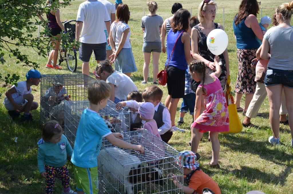 Mārupes novada bērnu un jauniešu svētki “Ar vasaru saujā”, 29.05.2016.