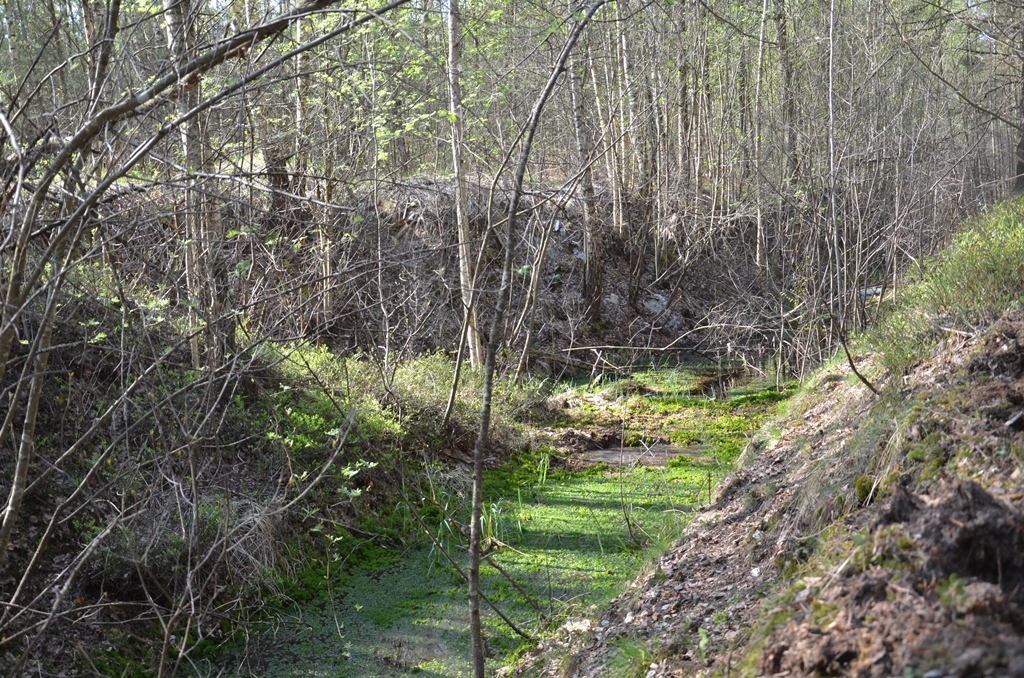 Piedzīvojumu ekspedīcija “Atklāj Medema purvu!” 04.05.2016.